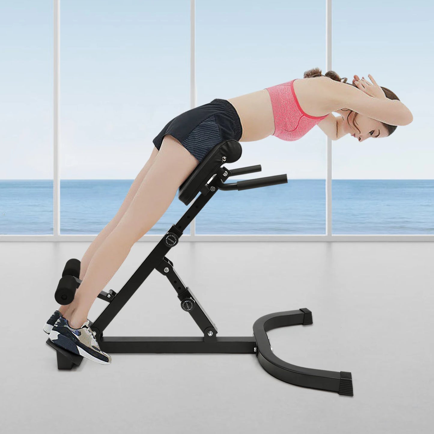 Three Position Roman Chair Back Extension Machine