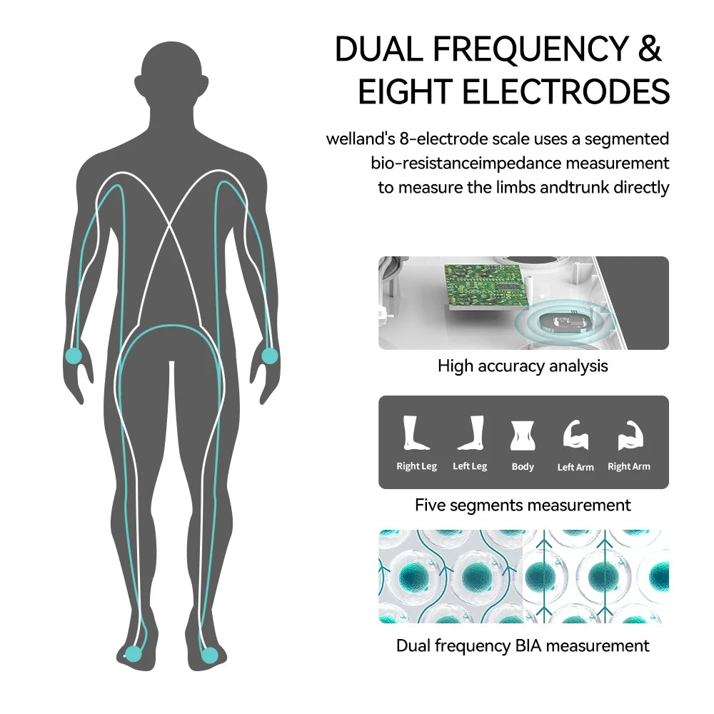 Smart Digital Scale Measuring Body Weight Fat And Muscle Mass
