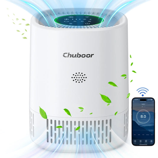 Chuboor Desktop Air Purifier Removes Dust Smoke Pet Dander Odors