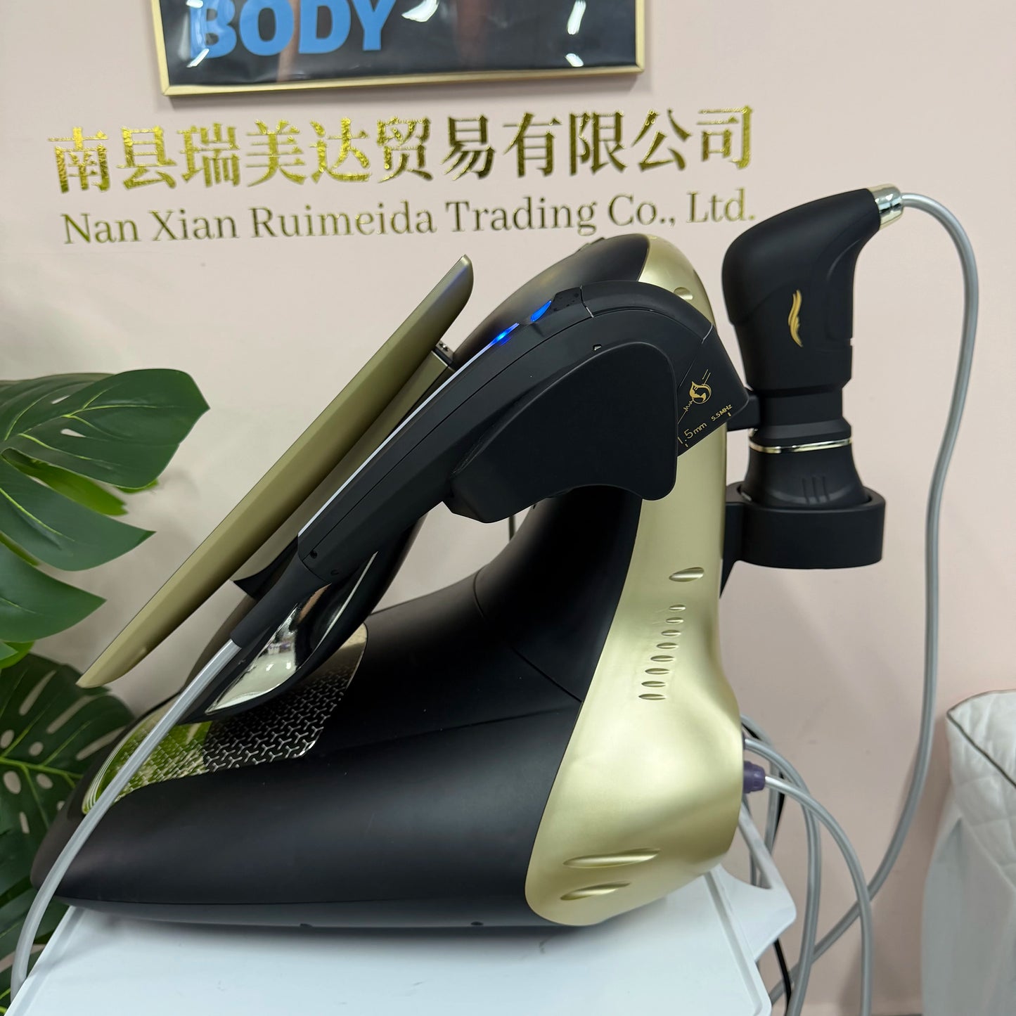 25D 360 Max RF Anti Aging Facial Body Portable Rejuvenation